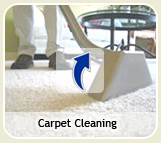 Carpet Cleaning