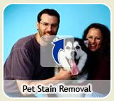 Pet Stain Removal